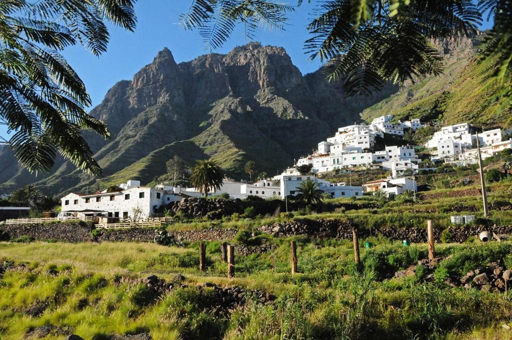 Casa La Palmera Agaete  Dış mekan fotoğraf